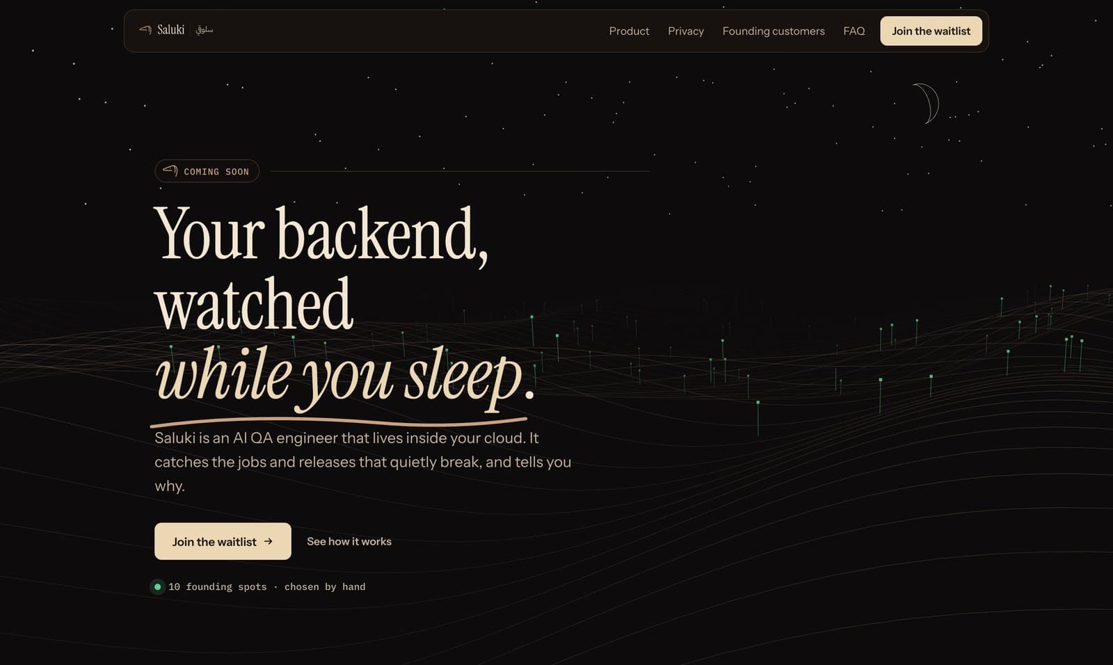 Saluki — Your backend, watched while you sleep.